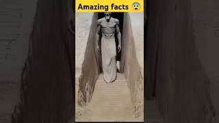 Amazing facts about Egypt 😨shortsfeed egypt shorts vairalshort [upl. by Enneyehc431]