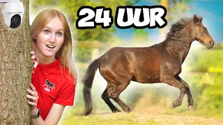 24 UUR LANG mijn PAARD en KONIJN bespioneren 👀🤫 [upl. by Ojeibbob255]