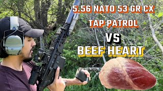 sig mcx rattler lt 775 556 vs beef heart [upl. by Yevreh]