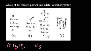 Carbohydrates Structure and Naming [upl. by Lirbij]