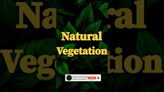 Natural Vegetation Class9 Geography Chapter5 Natural Vegetation amp Wildlife  naturalvegetation [upl. by Ymer911]