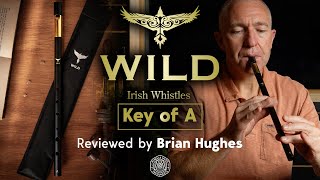 McNeela Wild Irish Whistle A reviewed by Brian Hughes [upl. by Nierman268]