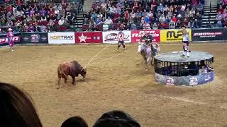 PBR  Professional Bull Riders 2018 Bangor ME roping a bull [upl. by Swane]