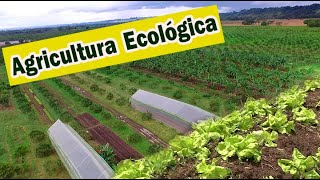 AGROECOLOGÍA CULTIVANDO CON AGRICULTURA ECOLÓGICA U ORGÁNICA [upl. by Trudie481]