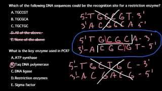 How to recognize a recognition site for a restriction enzyme [upl. by Quincy]