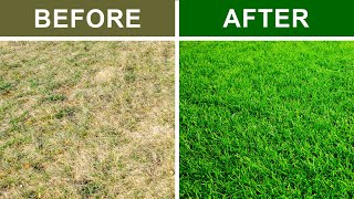 9 Secrets To Keep Your Lawn Green and Healthy [upl. by Arraeic]