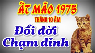 Tuổi Ất Mão 1975 Đúng tháng 10 âm lịch 2024 tiền tài rực rỡ đỉnh cao sự nghiệp theo tử vi [upl. by Yonatan564]