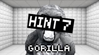 GORILLA HINT 7 [upl. by Zeeba]