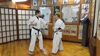 Kanshu kata bunkai application  Uechi ryu karate Sensei Rubin [upl. by Yelkreb]