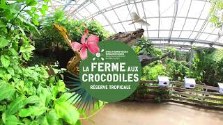 2024  Bienvenue à La Ferme aux CrocodilesRéserve Tropicale [upl. by Aniluj818]