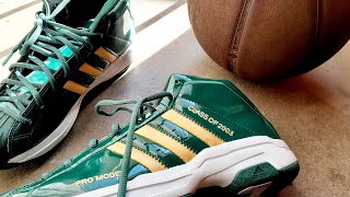 adidas Pro Model 2G  Lebron James basketball adidas sneakers kicks ohio [upl. by Naelopan927]