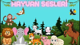 Hayvanlar ve Hayvan Sesleri  Okul Öncesi Eğitici Video  Bebekler ve Çocuklar İçin  Hayvanlar [upl. by Eelime]