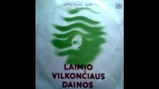 Laimis Vilkončius  Žemės vidury [upl. by Hiett]