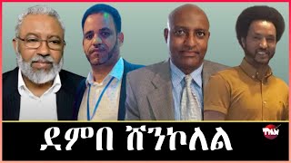 Tigray Media Network ሻዕብያ ብብረታዊ ቃልሲ አይእለንደምበ ሸንኮለል Apr 4 2024 [upl. by Ztnarf]