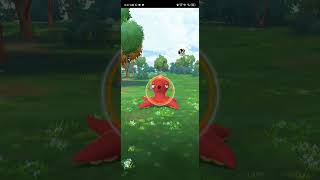 Menangkap Octillery [upl. by Aviv]