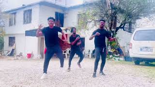 Goya Menor amp Nektunez  Ameno Amapiano Remix Dance VideoDynamic African Acrobatics Ghana [upl. by Kamaria389]