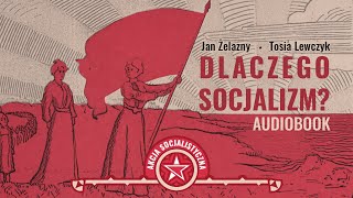 Dlaczego Socjalizm  Żelazny Lewczyk AUDIOBOOK [upl. by Rakel]