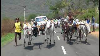 Rekla Race  20180325 Theni District Cumbum Mettu Nadumaadu [upl. by Andromache]