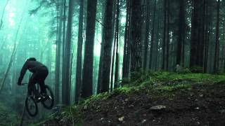 Amazing Freeride Forest [upl. by Jerri901]