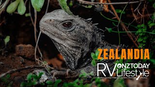 Zealandia  A wildlife sanctuary like no other in New Zealands capital city [upl. by Ainotahs15]