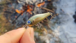 ОГЛЯД ВОБЛЕРА ZipBaits Rigge 35F [upl. by Ayerf]