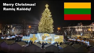 Lithuania Vilnius Christmas Tree 2024 Vilniaus Kalėdų eglė 2024 Різдвяна ялинка Вільнюса 2024 [upl. by Stretch]