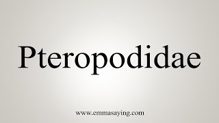 How To Say Pteropodidae [upl. by Leunamnauj]