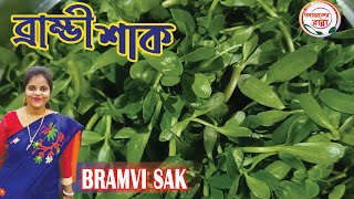 ব্রেনের বিকাশ হয় ব্রাহ্মি শাক এর এই রেসিপি খেলে  The brain is developed by recipe of Brambi Shaak [upl. by Aneela]