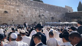 Traditional priestly blessing birkat kohanim in Sukkot at the Western Wall in Jerusalem 2024 [upl. by Nylia935]