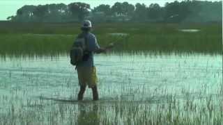 Tailing Redfish on the Fly Beaufort SC [upl. by Neirb]