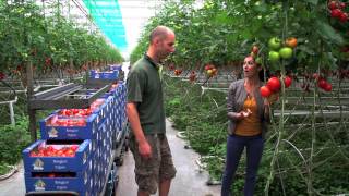 Jorrit Jonkers en Roy van der Ploeg over Bio Tomaten [upl. by Tigirb]