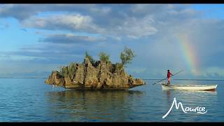 Typical Mauritius  Nature [upl. by Tati445]