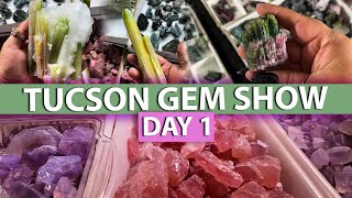 Tucson Gem Show Day 1 2024 Crystal Shop with me at the worlds largest gem show [upl. by Ugo102]