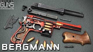 How does BergmannBayard model 1910 work [upl. by Isidore]