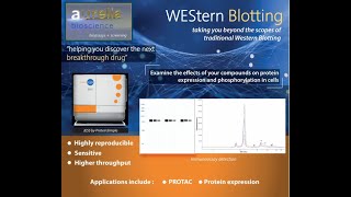 WES and JESS Automated Western Blotting [upl. by Georgie]