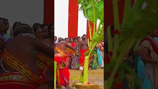 Nallur Manampo Festival 2024 [upl. by Einahpet]