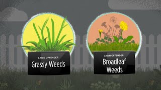 How to Control Weeds in Your Lawn [upl. by Enytsuj]