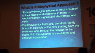 Alberto Foletti  Conference on the Physics Chemistry and Biology of Water 2015 [upl. by Lutim]