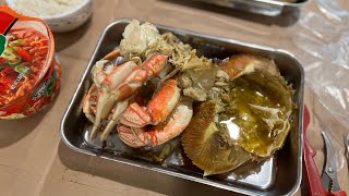 🇺🇸costco 추천 dungeness crab 던지니스 크랩 꼭 드셔보세요🦀🦀 미국 코스트코 [upl. by Alfred]