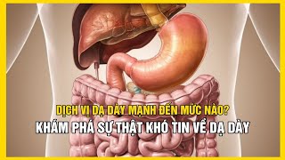 DỊCH VỊ DẠ DÀY MẠNH ĐẾN MỨC NÀO KHÁM PHÁ SỰ THẬT KHÓ TIN CỦA DẠ DÀY [upl. by Ketchum834]