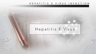 Hepatitis E CDC Viral Hepatitis Serology Training [upl. by Yasu]