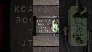 KOAmps Furry Little Thing Box Of Rock Clone no mods [upl. by Ahsinawt927]