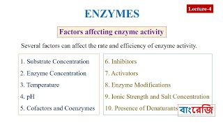 Which Factors affecting enzyme activity [upl. by Celestina160]