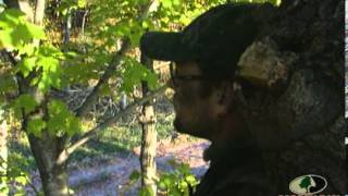 Toxeys Iowa Trophy Whitetail  Mossy Oak [upl. by Rodmann]