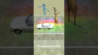 animal crossing the road challenged 길건너친구들 zoonomaly accident crossing animal 동물 friend [upl. by Diena818]