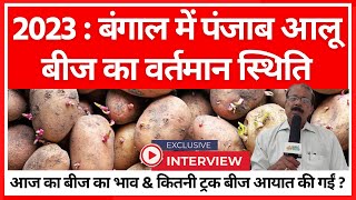 2023  बंगाल में पंजाब आलू बीज का वर्तमान स्थिति  Exclusive Report Of Punjab Potato Seed [upl. by Khan]