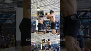 Knock Down x Boxing Smoker Match Highlight 🥊  boxing [upl. by Trellas]