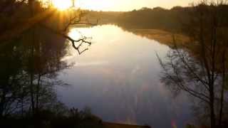 Aerial views of Virginia Water lake and The Valley Gardens Windsor Great Park [upl. by Henni]