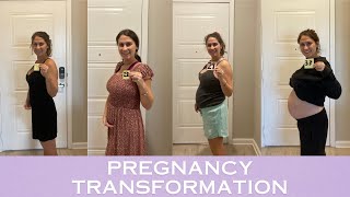 PREGNANCY TRANSFORMATION  week by week belly growth 738 weeks [upl. by Saffren]