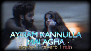 Ayiram Kannulla Malagha song slowed  reverb  rain  nanban lofi [upl. by Emogene]